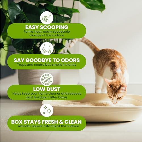 Almo Nature Soft Texture Cat Litter 5 lbs - Plant-Based, Clumping, Biodegradable, Non-Toxic, Compostable, Eco-Friendly, Odor Control, Low Dust, Safe for Cats & Kittens - Image 4