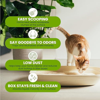 Almo Nature Soft Texture Cat Litter 5 lbs - Plant-Based, Clumping, Biodegradable, Non-Toxic, Compostable, Eco-Friendly, Odor Control, Low Dust, Safe for Cats & Kittens - Image 4
