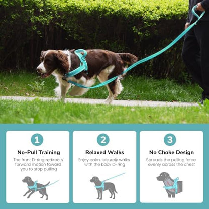 Didog Soft Flannel Padded Dog Vest Harness,Escape Proof/Quick Fit Reflective Dog Strap Harness, Easy for Training Walking(XS:Chest 15-18", Teal) - Image 4