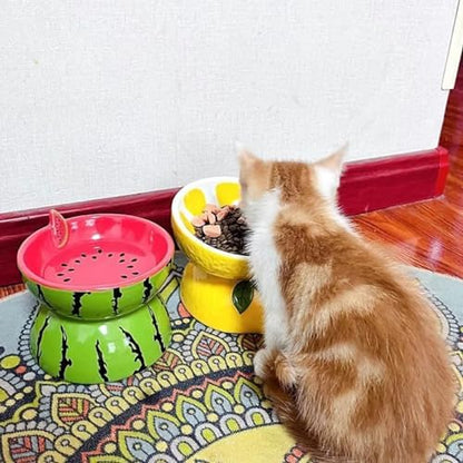 2PCS Ceramic Elevated Cat Bowls Raised Cat Food and Water Bowl Dishes Set - Image 2