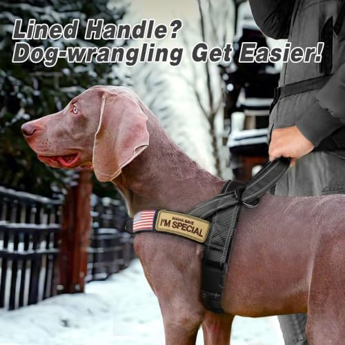Forestpaw No Pull Dog Harness with Large Handle,Comfortable,L,Black - Image 3