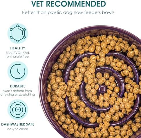 vancasso Slow Feeder Dog Bowl, 0.6 Cups Ceramic Small Puzzle Dog Food Dish - Image 3