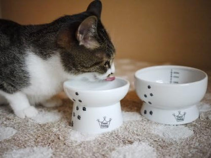 Necoichi Ceramic Elevated Cat Food & Water Bowl Set (Cats, Regular) by NECOICHI