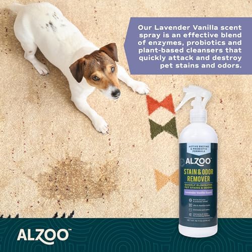 ALZOO Pet Stain & Odor Remover Spray for Dog & Cat Urine, Carpet, Furniture & Floors | Active Enzyme & Probiotic Formula | Lavender Vanilla Scent | Made in USA | 16 oz - Image 2
