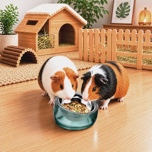 Felli Oblik 15° Tilted Small Animal Bowls for Pet Food & Water 6 oz Stainless Steel Dish Removable, Slanted Metal Plate Feeder for Kitten Puppy Rabbit Bunny Guinchilla Pig (0.75 Cups, Classic) - Image 7
