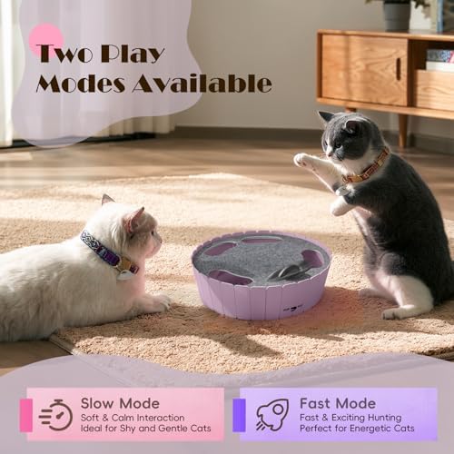 Pawaboo Interactive Cat Toy with Running Mouse, Automatic Track Kitten Toy - Image 4