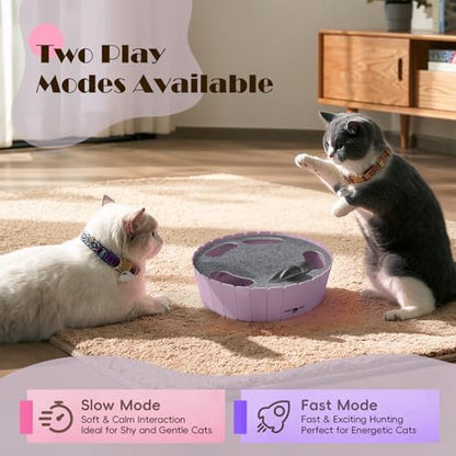 Pawaboo Interactive Cat Toy with Running Mouse, Automatic Track Kitten Toy - Image 4