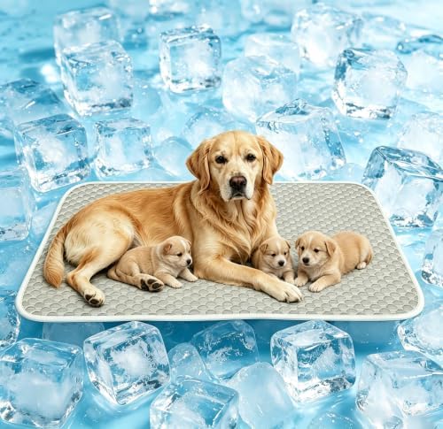 GOLOPET Dog Cooling Mat for Extra Large Dogs 35x50in by Afullrangeofservicesforyourpet