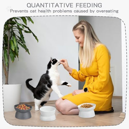 4 Pieces Plastic Tilted Elevated Cat Bowls Raised Cat Food Bowls Elevated Feeding Dish for Flat Faced Kitten Kitty Pets Supplies(White and Grey) - Image 6