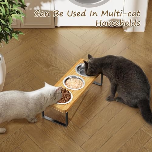 2 Pack Elevated Cat Bowls with 3 Stainless Steel Bowls | 10° Tilted Anti-Vomiting Raised Cat Food Bowl for Small Cats and Puppies Pet Bowl with Stand - Image 5