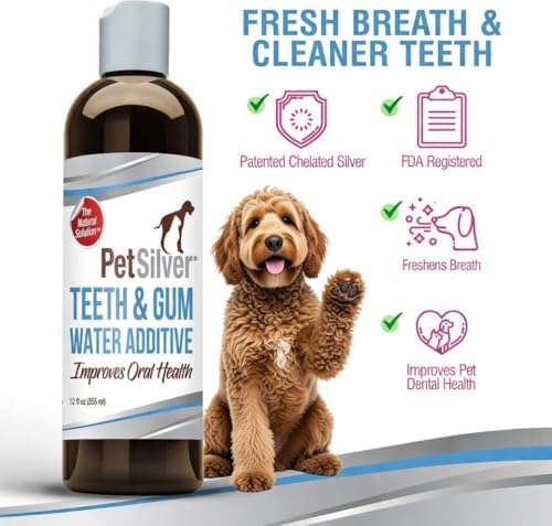 PetSilver Teeth & Gum Water Additive for Dental Care, USA, 12 fl oz - Image 4
