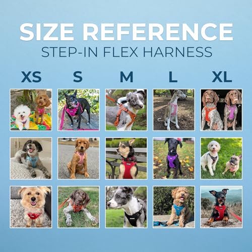 Voyager Step-in Flex Adjustable Dog Harness - Black, X-Large - Image 6