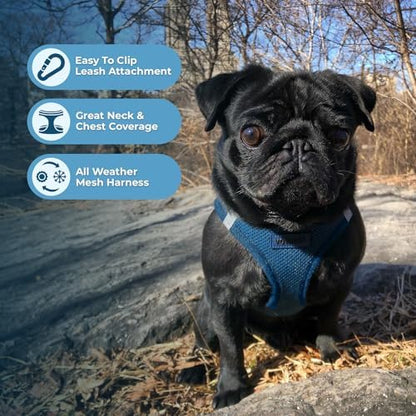 Best Pet Supplies Voyager Step-in Air All Weather Mesh Harness and Reflective Dog 5ft Leash Combo with Neoprene Handle, for Small, Medium and Large Breed Puppies - Blue, XXX-Small - Image 5