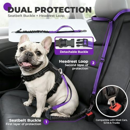 PETCARE 4 in 1 Hands Free Dog Leash with Car Seatbelt Buckle, Shock Absorbing Bungee Dog Waist Leash Belt for Running Walking Hiking, Dual Handles & Reflective, Adjustable for Small Medium Large Dogs - Image 7