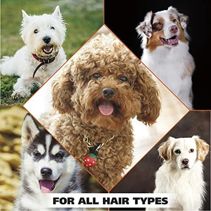 Wahl USA Dry Skin & Itch Relief Pet Shampoo for Dogs – Oatmeal Formula with Coconut Lime Verbena Scent - 64 Oz - Model 821004-050 - Image 7