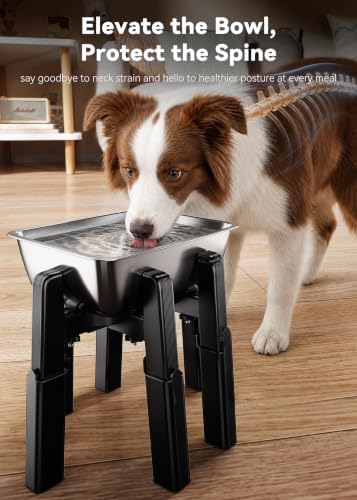 CZPET Dog Water Dispenser Stand, Large 1.32 Gallon Stainless Steel Bowl - Image 5