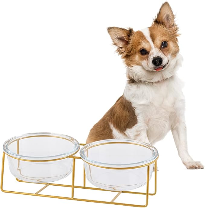 Elevated Dog Bowls for Small Dogs - 2 Glass Bowls with Gold Iron Stand - Raised Pet Dish Set for Food and Water - Comfortable Feeding
