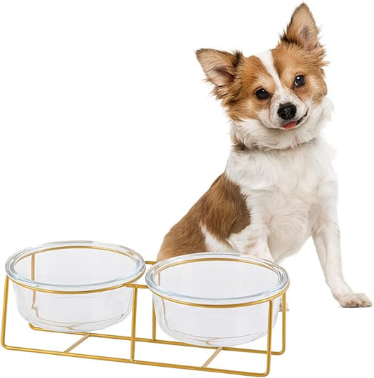 Elevated Dog Bowls for Small Dogs - 2 Glass Bowls with Gold Iron Stand - Raised Pet Dish Set for Food and Water - Comfortable Feeding