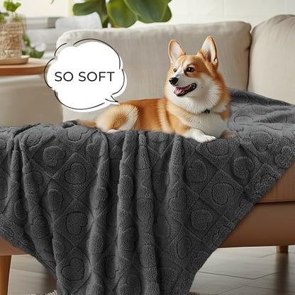 Luciphia Small Dog Blanket Washable Pet Bed Cover Soft Fluffy Puppy Blanket with Premium Fleece 300GSM Cozy Calming Cat Blankets for Indoor Cats Grey 41x31 inch - Image 4