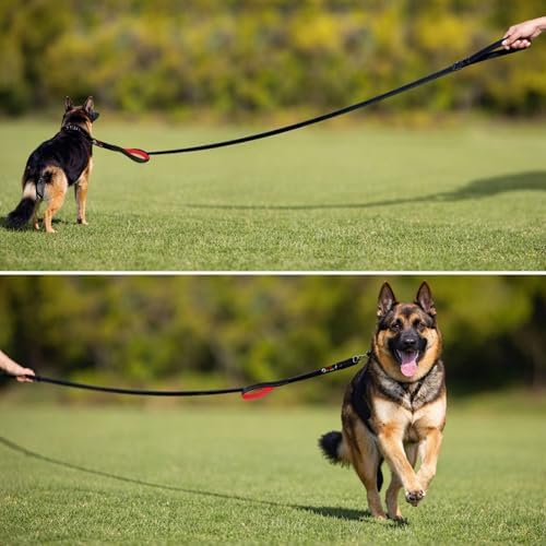 Primal Pet Gear Dog Leash 6ft Long,Traffic Padded Two Handle,Heavy Duty,Reflective Double Handles Lead for Control Safety Training,Leashes for Large Dogs or Medium Dogs,Dual Handles Leads(Pink) - Image 3