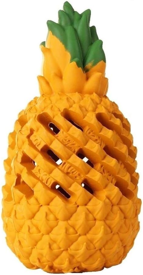 Teething Chew Toys for Puppy Small Dogs, Interactive Dog Toys to Keep Them Busy Puppies Tough Dog Dental Clean Toys