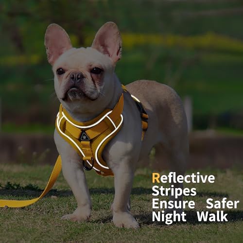 Dog Harness Medium Sized Dog Pet Vest with Leash Set Yellow L - Image 5