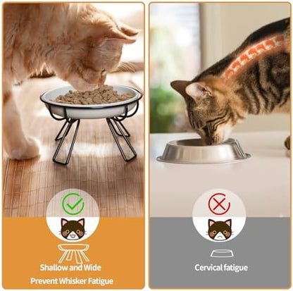 Presents The Ultimate Cat Dining Set: 5.9 inch Ceramic Water Bowl and Whisker-Friendly and Anti-Vomiting Plates.Elevated Bowl, Raised Ceramic Dish with Metal Stand - Image 5