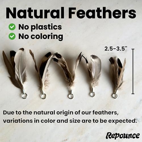 Cat Feather Toy Refill 3-Pack, Natural Feather Cat Toys for Kittens & Bored Indoor Cats, Small Cat Wand Attachments, Feather Replacement for Forever Stick Cat Wand, Cat Wand Refill - Image 2