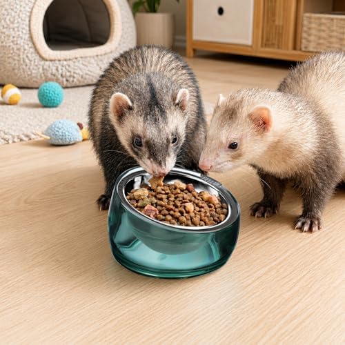 Felli Oblik 15° Tilted Small Animal Bowls for Pet Food & Water 6 oz Stainless Steel Dish Removable, Slanted Metal Plate Feeder for Kitten Puppy Rabbit Bunny Guinchilla Pig (0.75 Cups, Classic) - Image 5