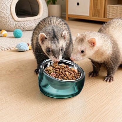Felli Oblik 15° Tilted Small Animal Bowls for Pet Food & Water 6 oz Stainless Steel Dish Removable, Slanted Metal Plate Feeder for Kitten Puppy Rabbit Bunny Guinchilla Pig (0.75 Cups, Classic) - Image 5