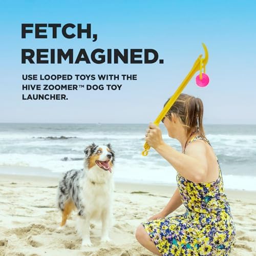 PROJECT HIVE ·PET COMPANY· Looped Ball 2 Pack-SM-Pink/Blue - Image 5