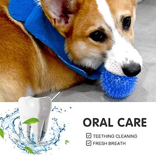SHARLOVY Squeaky Balls for Pet Small Puppy, 6 Pack TPR Fetch Spike Balls - Image 6