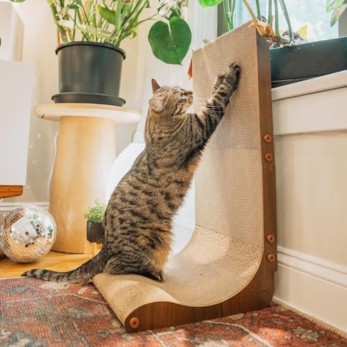 Necoichi Cardboard Cat Scratcher Wall for Indoor Cats - Cat Scratching Board, Cat Scratch Pad Lounger with Reversible Usability and Extra Comfort for Lounge, Curved (Dark Cherry, Regular) by NECOICHI