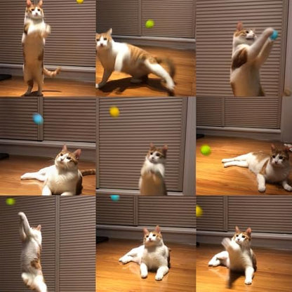100% Wool Felt Cat Toy Balls – 6-Pack, 3 Colors – Natural, Durable & Safe Size for Indoor Cats - Image 5