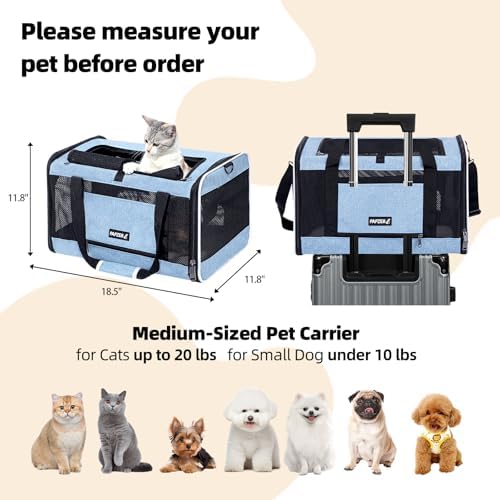 Cat Carrier Soft-Sided Travel Bag for Medium to Large Cat Over 15lbs - Image 2