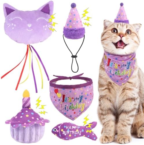 BINGPET Cat Birthday Decorations Outfit, 5 Pcs Catnip Toys for Indoor Cats by BINGPET