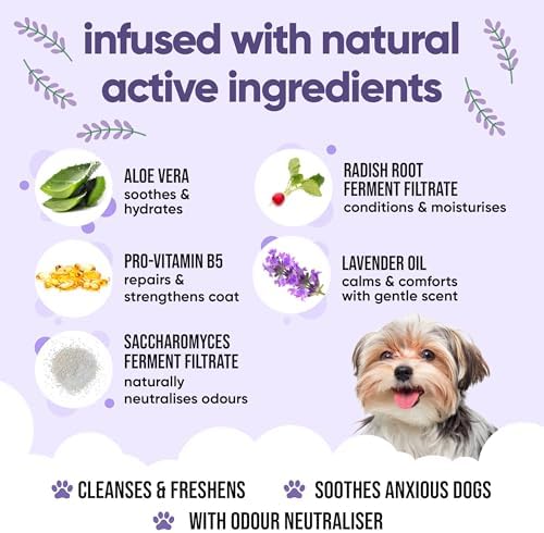 Calming & Deodorising Dog Shampoo by Buddycare | Lavender Scented | with Aloe Vera and Pro Vitamin B5 (50.72oz) - Image 3