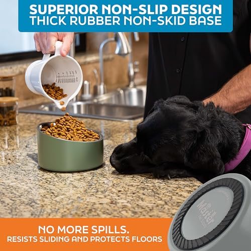Master Pet Supply Stainless Steel Slanted Dog Cat Food Bowl 24 oz Graphite - Image 5