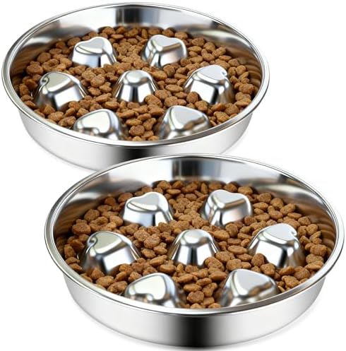 2 Pack Stainless Steel Slow Feeder Dog Bowls, Non-Slip Metal Pet Bowls for Fast Eaters, Anti-Gulping Bloat Prevention Dog Food Bowls, Easy to Clean for Small Breeds by Dyienocs
