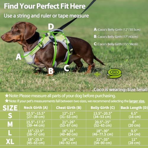 Huntboo Escape Proof Dog Harness, Dachshund Harness, Reflective Dog Harness with Handle, Durable,Adjustable Vest for Small Medium Large Dogs Walking, Training, and Running Gear (Green,S) - Image 6