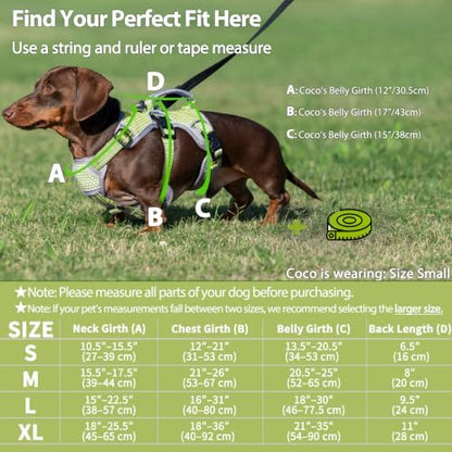 Huntboo Escape Proof Dog Harness, Dachshund Harness, Reflective Dog Harness with Handle, Durable,Adjustable Vest for Small Medium Large Dogs Walking, Training, and Running Gear (Green,S) - Image 6