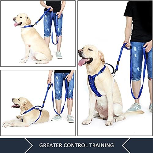 Plutus Pet Double Handle Dog Leash, 5 FT Long, for Medium Large Dogs - Image 3