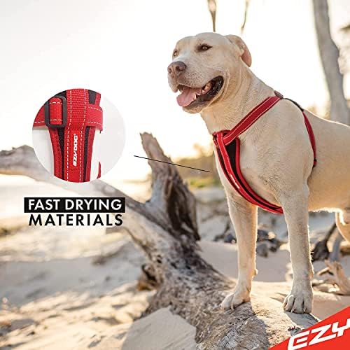 EzyDog Chest Plate No Pull Dog Harness, Escape Proof - X-Large, Blue - Image 3