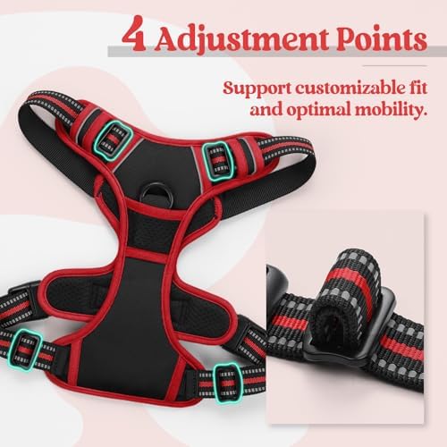 rabbitgoo Dog Harness, No Pull for Large Dogs with 2 Leash Clips, Pet Vest - Image 4