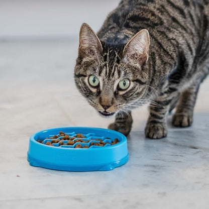 Catstages Kitty Slow Feeder Bowl for Cats & Kittens, 3/4 Cup, Blue, 5" - Image 6