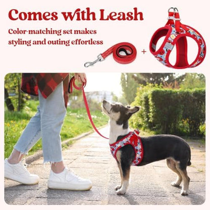 rabbitgoo Dog Harness Medium Sized and Leash Set, Step-in Puppy Pet Vest - Image 6