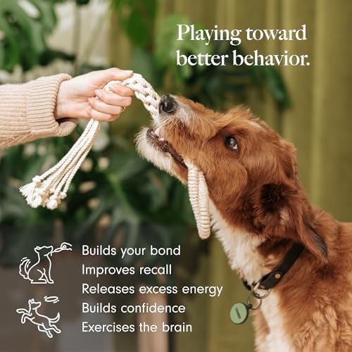 LAY LO Natural Cotton Dog Rope Toy for Small & Medium Dogs, Non-Toxic Rope Toy, 2-Pack Puppy Teething Toy, Durable Boho Dog Toys with Handle - Image 2