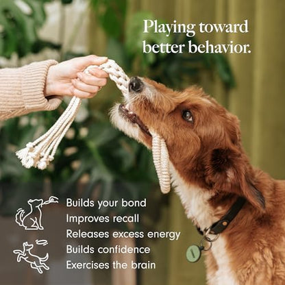 LAY LO Natural Cotton Dog Rope Toy for Small & Medium Dogs, Non-Toxic Rope Toy, 2-Pack Puppy Teething Toy, Durable Boho Dog Toys with Handle - Image 2