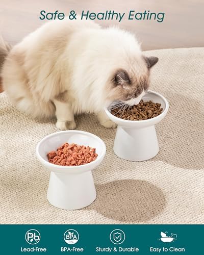 vancasso 2-Pack Elevated Cat Food Bowls, 6.2" Wide Shallow Cat Feeding Dish - Image 3