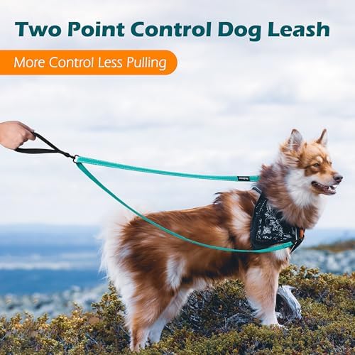 PetBonus Two Point Control Dog Leash, No Tangle Training Walking Leashes - Image 2